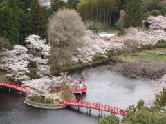 茂原公園