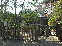 明治神宮御苑