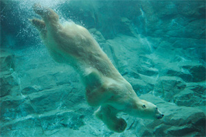 八木山動物公園
