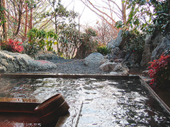 山荘ゆむ田の森