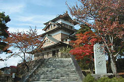 笠取峠松並木