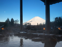 ホテルグリーンプラザ箱根