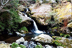 篠山市立歴史美術館