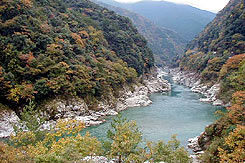 レストラン大歩危峡まんなか