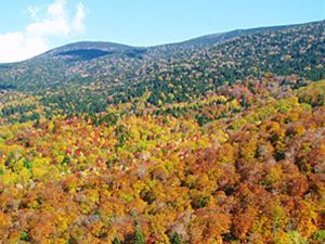 西吾妻スカイバレー