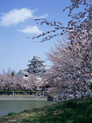 犀川堤