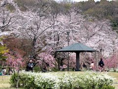 水源公園