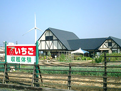 ROCK BAY GARDEN