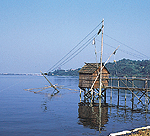 東郷湖(鶴の湖)