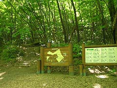 蔵王野鳥の森