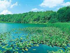 八幡平森林セラピーロード