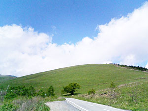 ビーナスライン